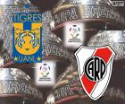 Τελική Copa Libertadores 2015